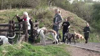 Walking Greyhounds by Pauline Johnson [upl. by Elsilrac900]