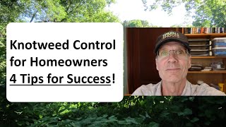 Knotweed Control for Homeowners 4 Tips for Success [upl. by Zaid]