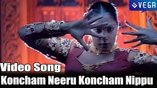 DongaDonga Movie  Koncham Neeru Koncham Nippu Video Song [upl. by Bevus]