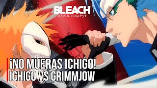 ¡BATALLA FINAL  ICHIGO vs GRIMMJOW  Español Latino [upl. by Alina]