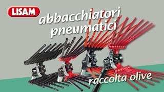 Abbacchiatori pneumatici Lisam  I fantastici 4 [upl. by Shakti]