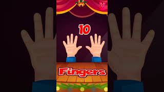 Finger Names in English  kidssong fingerfamily kidsFinger fingerSong finger [upl. by Bergh]