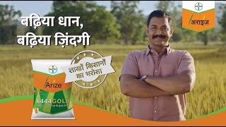 Paddy Farming Maximize Paddy Yield with Arize 6444 Gold Hindi  Bayer Crop Science India [upl. by Deadman41]