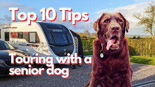 Caravanning with a Senior Dog  Caravan Vlogs from Mac amp Sarah [upl. by Timus]