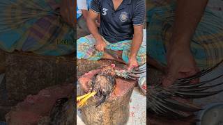 Amazing Special Desi Chicken Cutting Skills In Bangladesh Chicken Market 😱 shorts [upl. by Hassett]