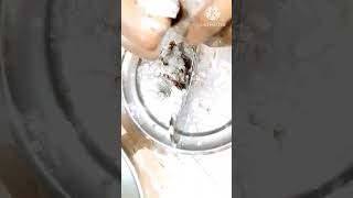 Dhoma fish clean  How to clean Dhoma fish  Dhoma machli kaise saaf kare fish fishcutting [upl. by Nemzzaj]