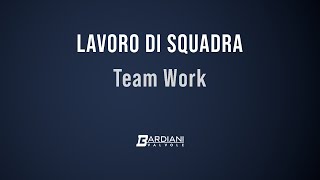 Cosa significa per te LAVORO DI SQUADRA  What does TEAM WORK mean for you [upl. by Olimac]