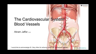 ANAT101026Blood vessels [upl. by Yhcir]