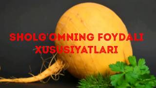 Sholgomning foydali xususiyatlari✵♔✵Шолғомнинг фойдали хусусиятлари [upl. by Dale]