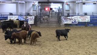 11224 ACHA Championship  Belton TX  Jessica Lott  FOXY SPOONFUL  Non Pro  149 [upl. by Nileak]