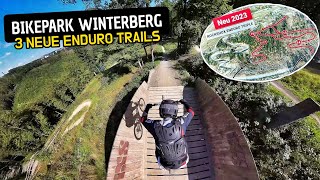 BIKEPARK WINTERBERG 2023  Neue Trails 👍 Da hat sich einiges getan [upl. by Rehpetsirhc]