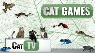 CAT Games  Froggy Frolics 🐸  Cat TV Videos For Cats to Watch 😼 [upl. by Ecirtel]