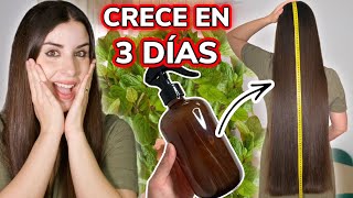 CRECE TU CABELLO EN 3 DÍAS CON SÓLO 2 INGREDIENTES POTENTES [upl. by Kitti274]