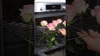 Pro Tips to Keep Your Flowers Fresh Longer 🌸 [upl. by Ivar780]