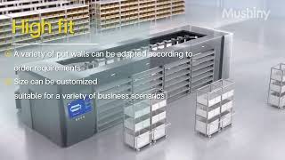 Innovative Putwall picking amp Order Fulfillment 3D Sorter unveil new era of sorting technology [upl. by Reichert53]