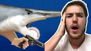 Fish Biologist reacts to quotMore Terrifying than Megalodonquot [upl. by Nahgam891]