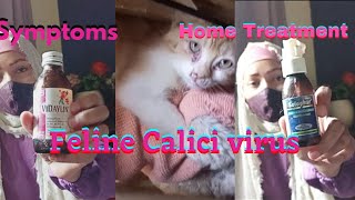 Feline Calici VirusFCV Symptoms l Home Treatment l Necessary Medicine l [upl. by Eiramave]