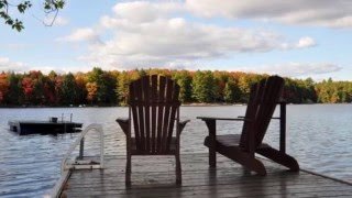 Muskoka Cottage for Rent 353 on Bigwind Lake near Bracebridge Ontario [upl. by Nyleaj]