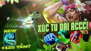 RIOT BUFF XÚC TU ILLAOIDÀI RA ILLAOI TỪ PHẾ VẬT MÙA 14 LỌT TOP 5 ĐƯỜNG TRÊN 143  HÀ TIỀU PHU [upl. by Ayaladnot]