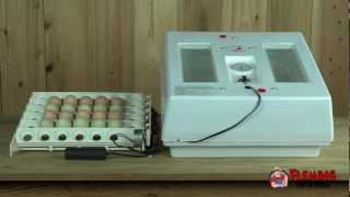 Professional Egg Incubator Kit With Turner [upl. by Vick]