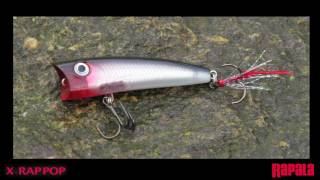 Rapala® XRap® Pop [upl. by Nosreg]