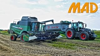 Fendt 5275 C al lavoro su frumento e mais [upl. by Lexy]