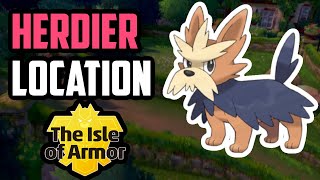 How to Catch Herdier  Pokemon Sword amp Shield DLC [upl. by Einnej]