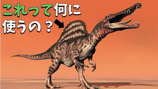 スピノサウルスに対する紆余曲折した諸説｜背中にある帆は何に使うの？ [upl. by Jobey]