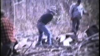 Brookfield NY Woodcutting Circa 1975 [upl. by Rowell]