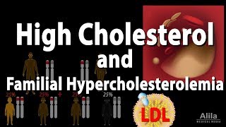 High Cholesterol and Familial Hypercholesterolemia Animation [upl. by Ecile]