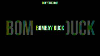 BOMBAY DUCK I AMAZING FACT [upl. by Hodges30]