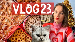 23 VLOG 🍪 ✨  Vianoce sú skoro tu víkend doma pečenie zdobenie darčeky amp dalšie 🎄 [upl. by Rizan]