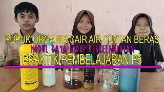 Praktik Pembelajaran P5 Gaya Hidup Berkelanjutan  PUPUK ORGANIK CAIR AIR CUCIAN BERAS [upl. by Weber]