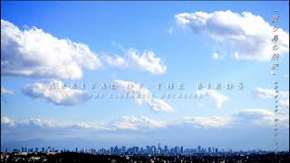 The Cinematic Orchestra  Arrival of the birds extended  Disney Nature [upl. by Teferi]