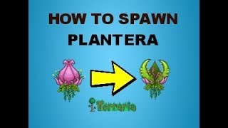 How to spawn Plantera on Terraria [upl. by Brahear254]