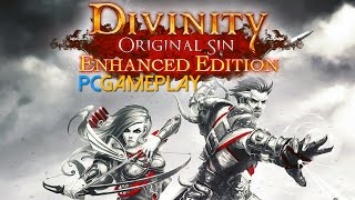 Divinity Original Sin  Enhanced Edition Gameplay PC HD [upl. by Humphrey]