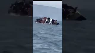 Whale capsizes boat off coast of New Hampshire [upl. by Cyrille]