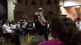 Macushla  Dermot MacMurrough  performed by Steven Mead and Waterbeach Brass 14418 [upl. by Chapen]