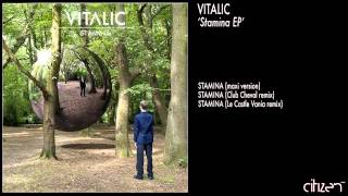 Vitalic  Stamina Club Cheval Remix [upl. by Sible541]