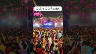 Vadodara Navratri Festival 2024  Vadodara Garba 2024  Navratri Festival 2024 [upl. by Devlen782]