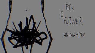 TRIGGER WARNING p i c k a f l o w e r animation [upl. by Almire]