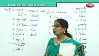 Sounds and movement of animals  Learn English Words for Kids  Vocabulary for Beginners [upl. by Hintze799]