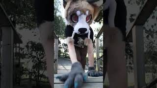 Vellinge blommans garden furry shots fursuiting [upl. by Nishi878]