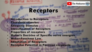 Receptors Physiology [upl. by Peria913]