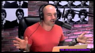 quotGold Diggers amp Wounded Gazellesquot with Greg Fitzsimmons from Joe Rogan Experience 466 [upl. by Hegarty584]