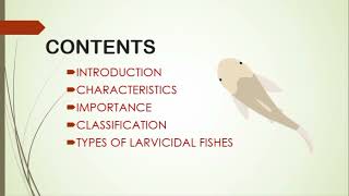 Larvicidal Fishes Classification  Examples  Importance  UrduHindi  Syed Haroon Haidar [upl. by Onin]