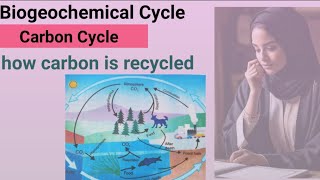 defination of biogeochemical cycle  what is carbon cycle  carbon dioxide recycling [upl. by Toddy205]