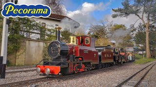 Beer Heights Light Railway  Pecorama  Beer  Devon [upl. by Lavotsirc]