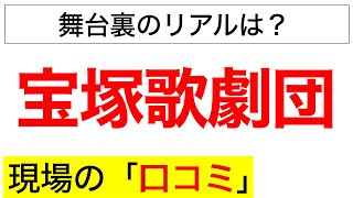 宝塚歌劇団の衣装部・舞台 年収 働き方の口コミを紹介します。 [upl. by Lock]