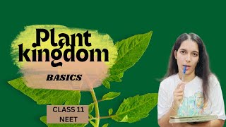 taxonomy  plant kingdom class 11 NEET [upl. by Norek484]